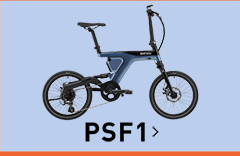 PSF1