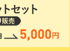 合計13,200円→5,000円