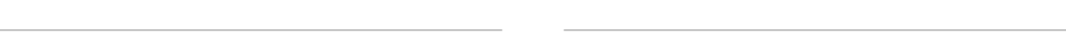 BESV