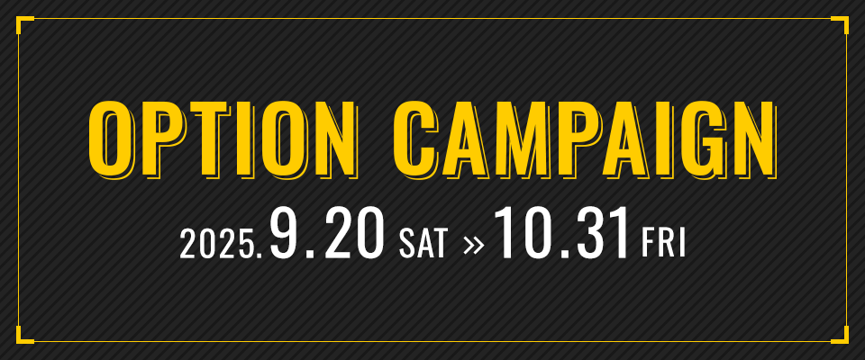 OPTION CAMPAIGN