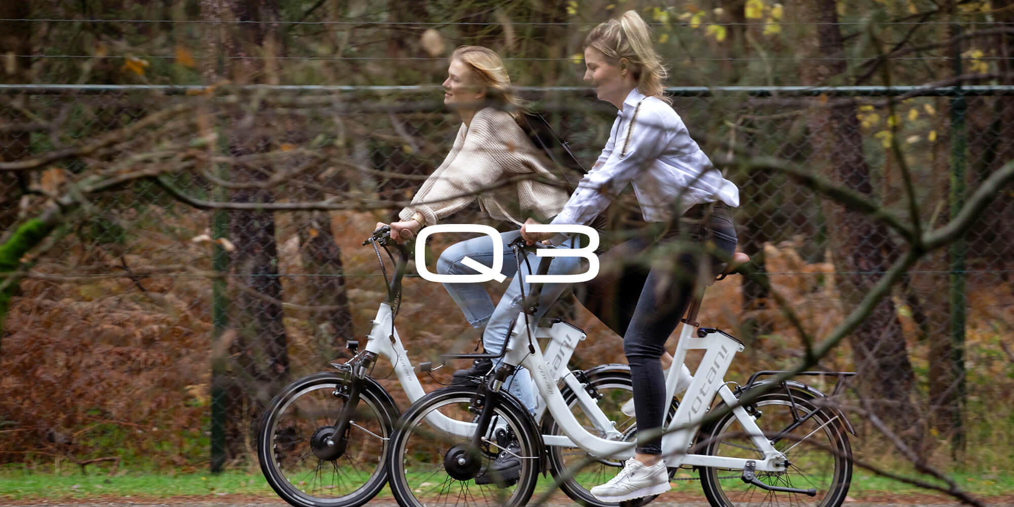 Q3 | BESV JAPAN（ベスビー ジャパン） | 次世代のプレミアムe-Bike 