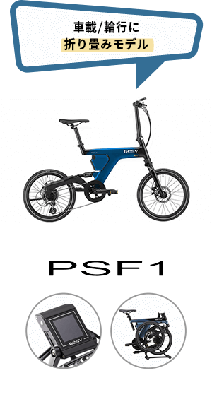 PSF1