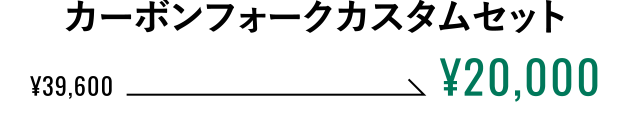 カーボンフォークカスタムセット ¥20,000