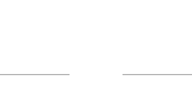 BESV PSシリーズ