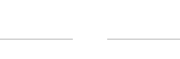 BESV